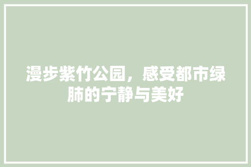 漫步紫竹公园，感受都市绿肺的宁静与美好  第1张