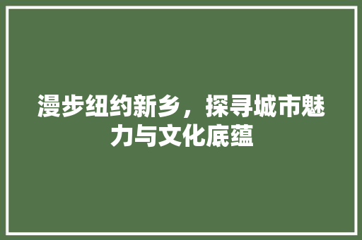 漫步纽约新乡，探寻城市魅力与文化底蕴