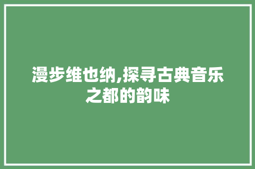 漫步维也纳,探寻古典音乐之都的韵味  第1张