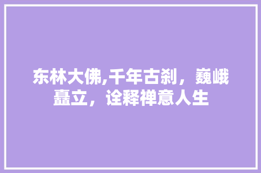 东林大佛,千年古刹，巍峨矗立，诠释禅意人生  第1张
