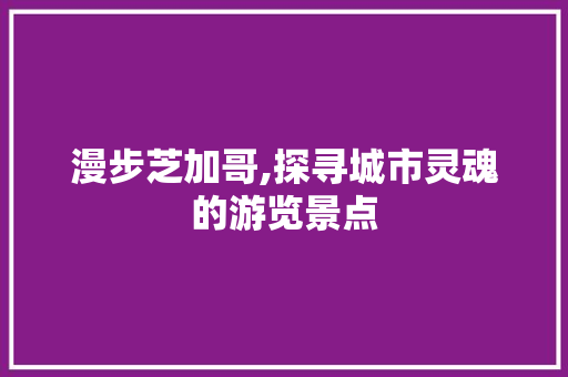 漫步芝加哥,探寻城市灵魂的游览景点  第1张