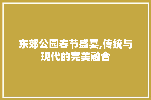 东郊公园春节盛宴,传统与现代的完美融合  第1张