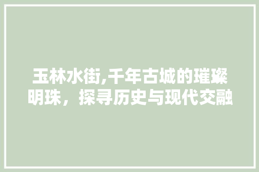 玉林水街,千年古城的璀璨明珠，探寻历史与现代交融的韵味