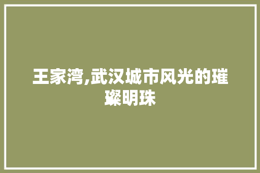 王家湾,武汉城市风光的璀璨明珠
