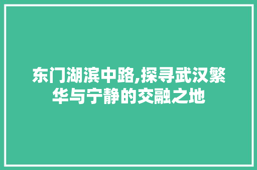 东门湖滨中路,探寻武汉繁华与宁静的交融之地