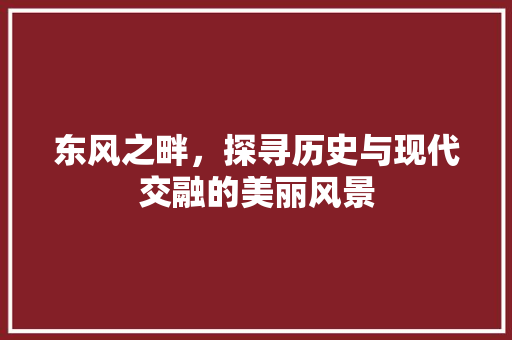 东风之畔，探寻历史与现代交融的美丽风景