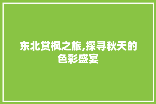 东北赏枫之旅,探寻秋天的色彩盛宴  第1张