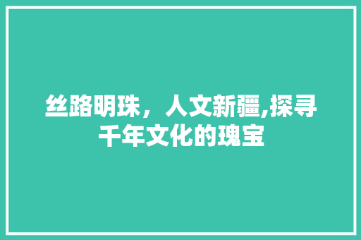 丝路明珠，人文新疆,探寻千年文化的瑰宝  第1张