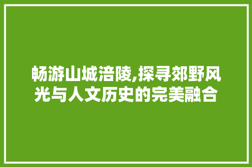 畅游山城涪陵,探寻郊野风光与人文历史的完美融合