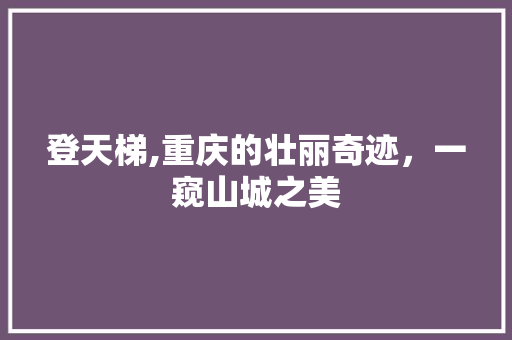 登天梯,重庆的壮丽奇迹，一窥山城之美