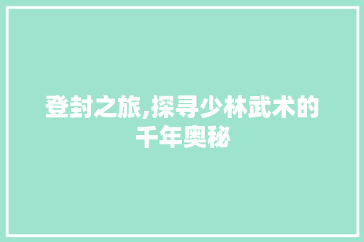 登封之旅,探寻少林武术的千年奥秘