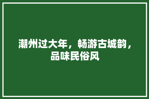 潮州过大年，畅游古城韵，品味民俗风