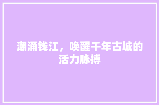 潮涌钱江，唤醒千年古城的活力脉搏