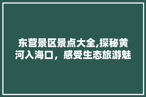 东营景区景点大全,探秘黄河入海口，感受生态旅游魅力  第1张