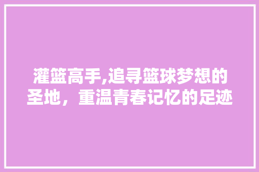 灌篮高手,追寻篮球梦想的圣地，重温青春记忆的足迹  第1张