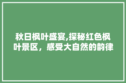 秋日枫叶盛宴,探秘红色枫叶景区，感受大自然的韵律之美