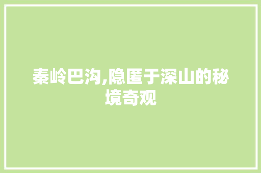 秦岭巴沟,隐匿于深山的秘境奇观