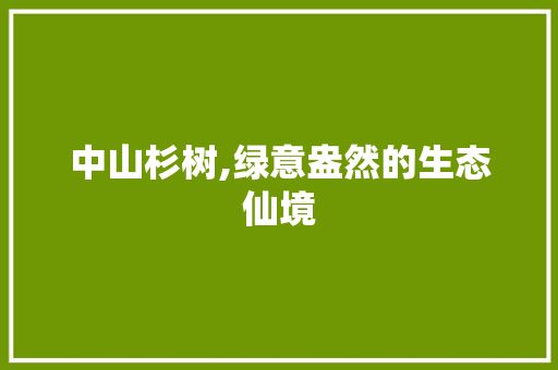 中山杉树,绿意盎然的生态仙境