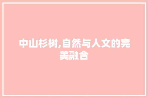 中山杉树,自然与人文的完美融合
