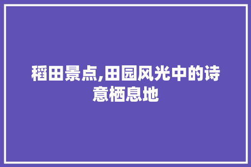 稻田景点,田园风光中的诗意栖息地
