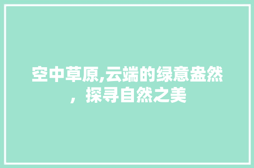 空中草原,云端的绿意盎然，探寻自然之美