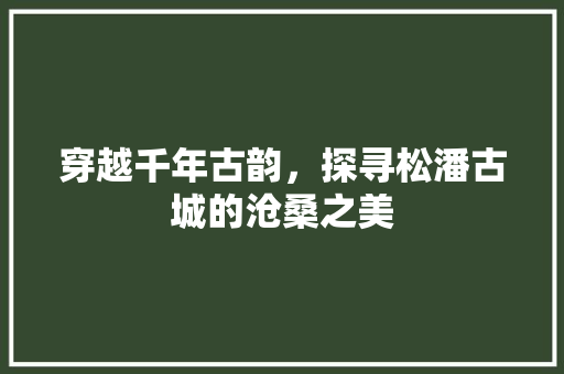 穿越千年古韵，探寻松潘古城的沧桑之美