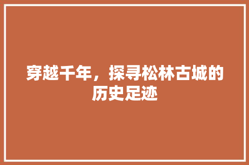 穿越千年，探寻松林古城的历史足迹