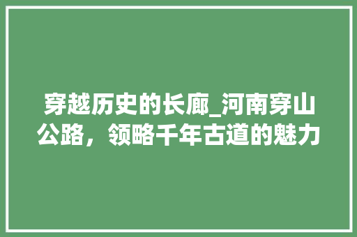 穿越历史的长廊_河南穿山公路，领略千年古道的魅力