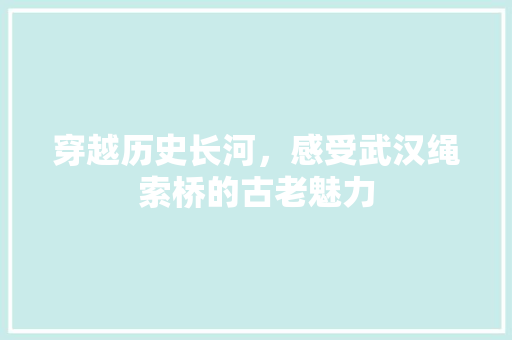 穿越历史长河，感受武汉绳索桥的古老魅力
