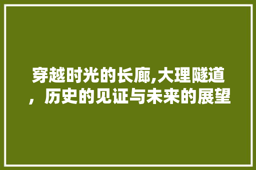 穿越时光的长廊,大理隧道，历史的见证与未来的展望