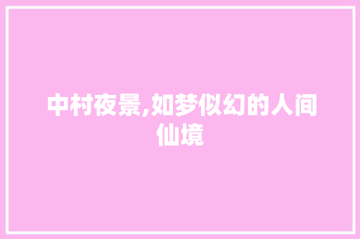中村夜景,如梦似幻的人间仙境  第1张