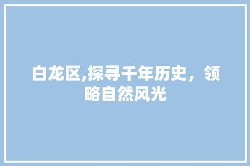 白龙区,探寻千年历史，领略自然风光
