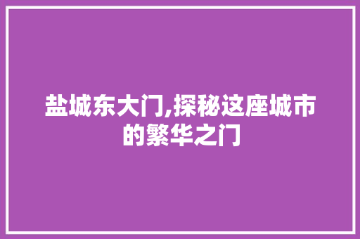 盐城东大门,探秘这座城市的繁华之门