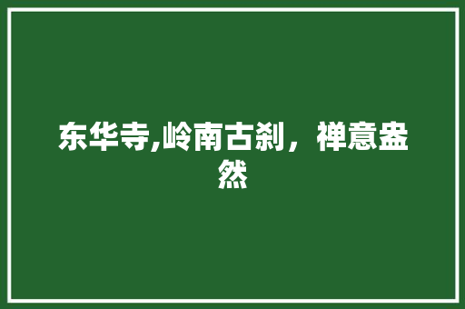 东华寺,岭南古刹，禅意盎然  第1张