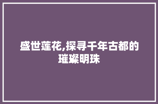 盛世莲花,探寻千年古都的璀璨明珠
