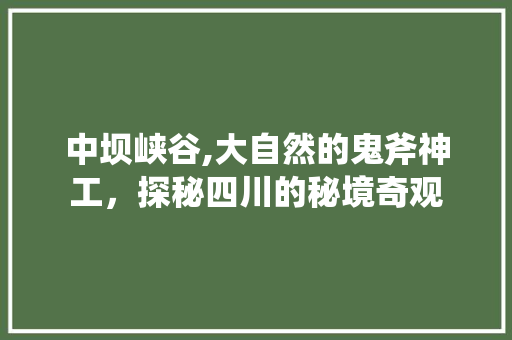 中坝峡谷,大自然的鬼斧神工，探秘四川的秘境奇观