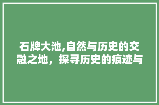 石牌大池,自然与历史的交融之地，探寻历史的痕迹与生态的和谐