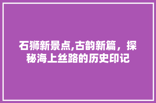 石狮新景点,古韵新篇，探秘海上丝路的历史印记