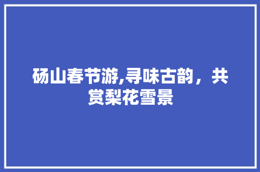 砀山春节游,寻味古韵，共赏梨花雪景