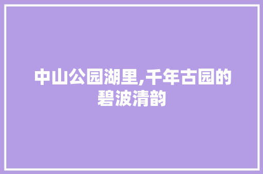 中山公园湖里,千年古园的碧波清韵