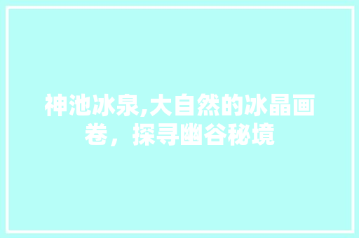 神池冰泉,大自然的冰晶画卷，探寻幽谷秘境