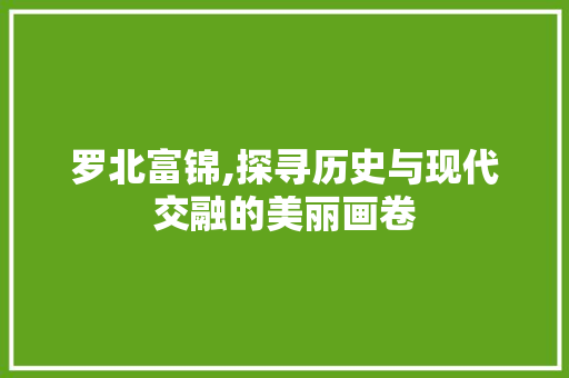 罗北富锦,探寻历史与现代交融的美丽画卷