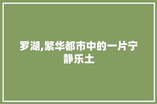 罗湖,繁华都市中的一片宁静乐土