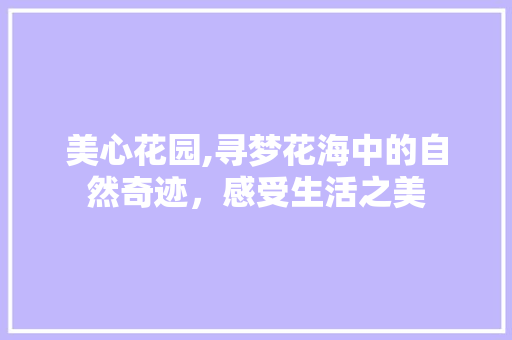 美心花园,寻梦花海中的自然奇迹，感受生活之美