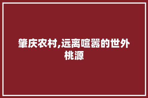肇庆农村,远离喧嚣的世外桃源