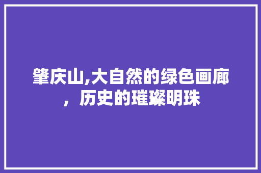 肇庆山,大自然的绿色画廊，历史的璀璨明珠  第1张