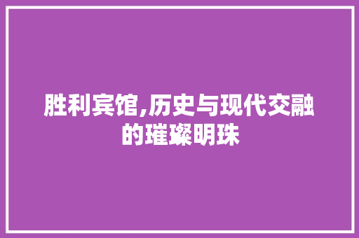 胜利宾馆,历史与现代交融的璀璨明珠