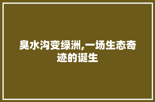 臭水沟变绿洲,一场生态奇迹的诞生