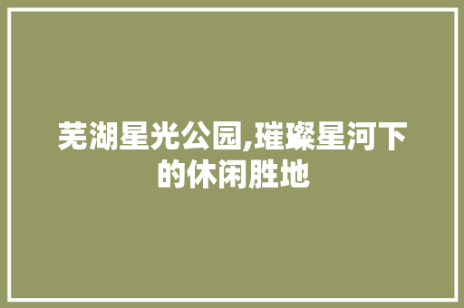 芜湖星光公园,璀璨星河下的休闲胜地