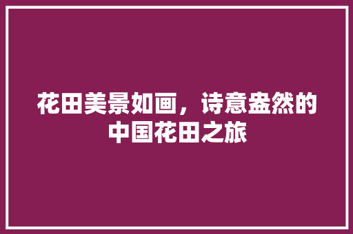 花田美景如画，诗意盎然的中国花田之旅